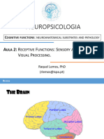 Aula T2 - Neuropsychology_Sensory_Visual