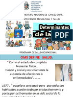 Determinantes de La Salud IV