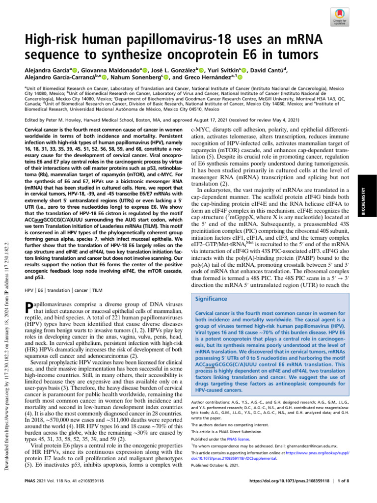 HPV E6 mRNA Translation in Tumors | PDF | Messenger Rna ...
