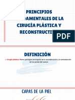 Principios Generales de Cx. Plástica y Reconstructiva-Presentación