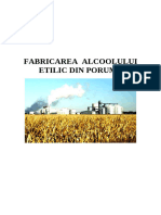 Fabricarea-alcoolului-etilic-din-porumb-doc