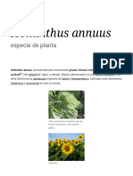 Helianthus Annuus - Wikipedia, La Enciclopedia Libr