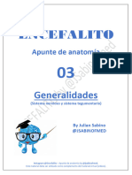 Encefalito 03 - Generalidades 03
