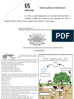 Ciclos Biogeoquimicos