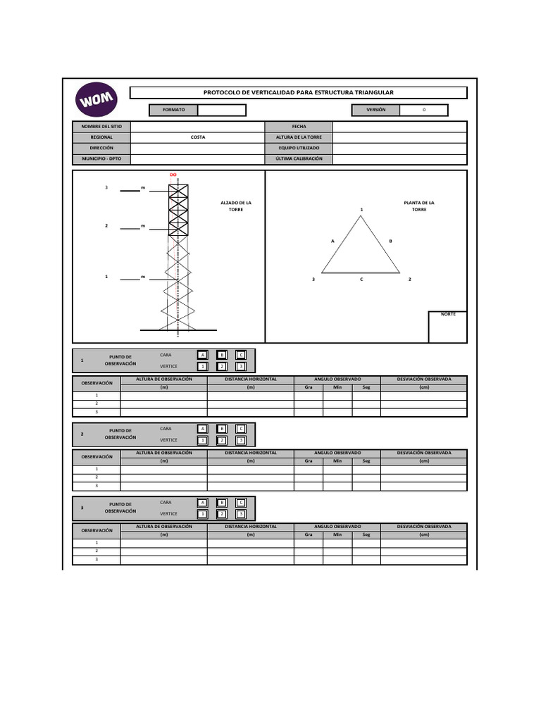 Copia de Protocolo verticalidad | PDF