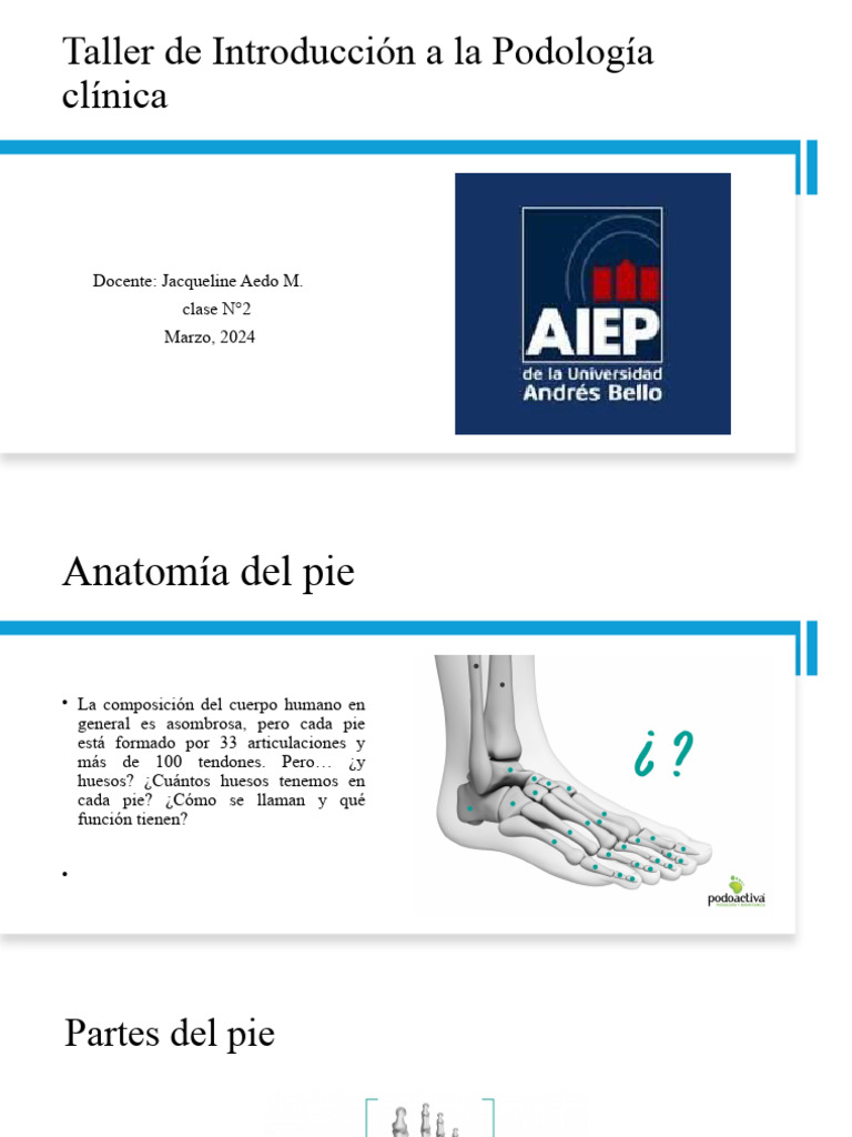 Anatomia Del Pie | PDF | Pie | Anatomía humana