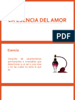 La Esencia Del Amor