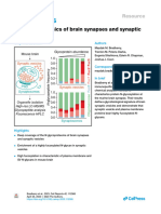 Cell Rep, 2023. 脑突触N-glycoproteomics of brain synapses and synaptic vesicles 