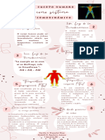 Infografía El Cuerpo Humano Como Sistema Termodinámico