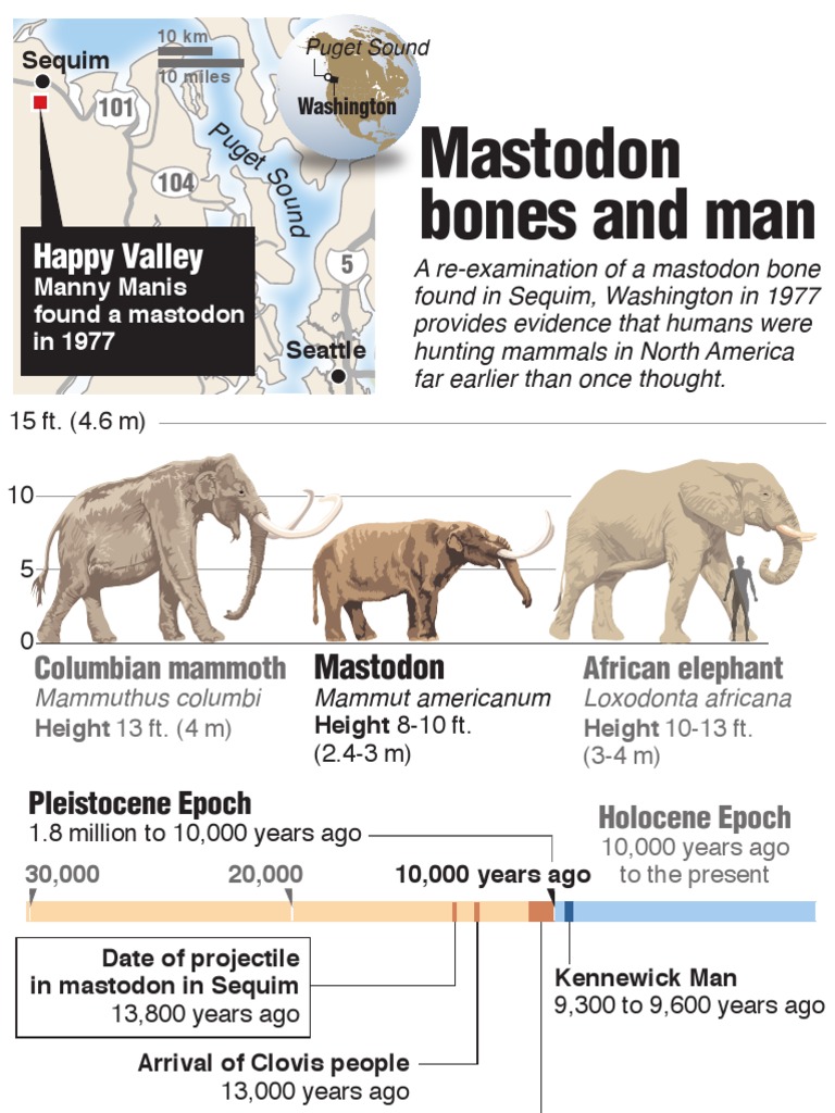 Comparing Mammoth, Mastodon and Elephant | PDF