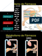 Aula Metabolismo de f Rmacos