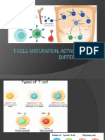 Lecture - T Cell Development