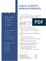 CV Carlos Alberto Barradas Morales