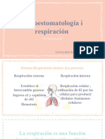 Respiracion FONOESTOMATOLOGIA I 2021
