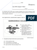 4° Basico Ensayo Simce Lenguaje