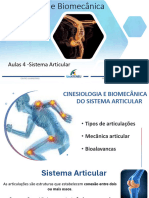 Aula 4 - Sistema Articular