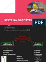 Aparato digestivo