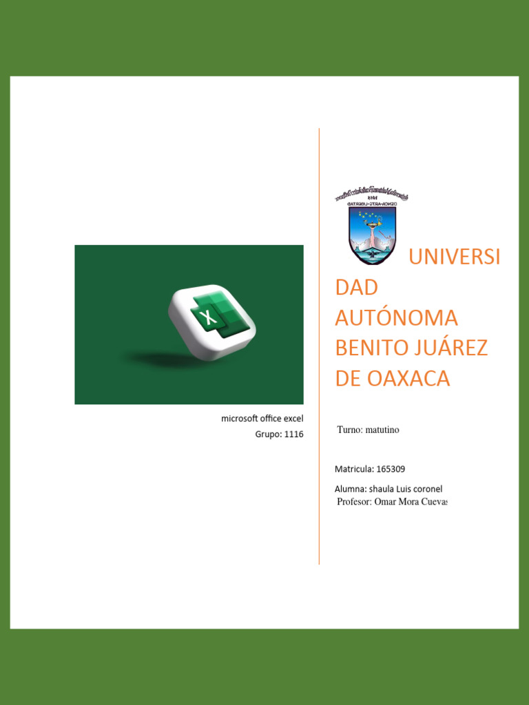 Microsotf Office, Informatica | PDF | Microsoft Excel | Hoja de cálculo