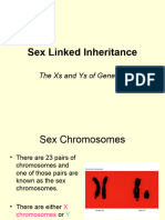 Sex-Linked Inheritance