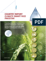 2022 - Pakistan Country Report Climate Smart Rice - CCAC