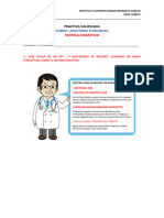 Practica Calificada N°9 Sistema Digestivo