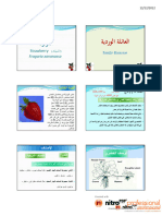 العائلة الوردية