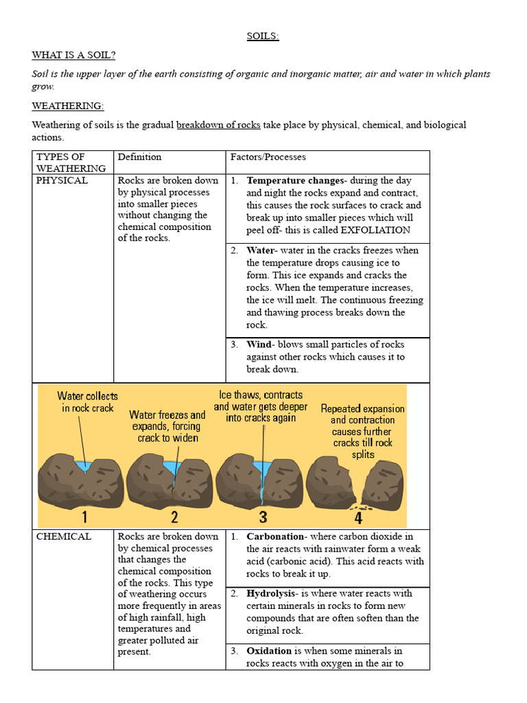 Understanding Soil Types and Formation | PDF | Soil | Weathering