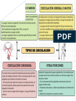 Circulación General O Mayor