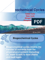 Biogeochemical Cycles: Add Subtitles Here