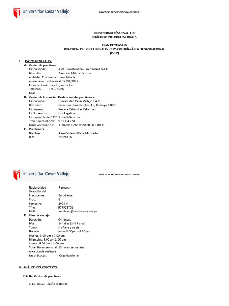 Formato Plan de Trabajo Área Organizacional (2) | PDF | Psicología
