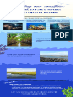 Blue Illustrative Sea Animals Infographic