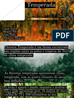 Floresta Temperada - Geo