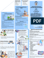 Trifolio PDF