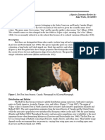 John Watts - Species Profile of Red Fox Vulpes Vulpes Vertzoo