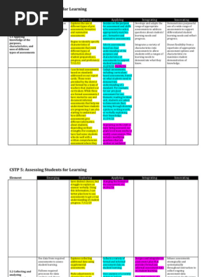 pdf cstp 5 timm 04