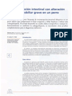 Intususcepción Intestinal Con Alteración Hepatobiliar Grave en Un Perro