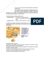 Hipotálamo control central