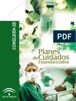 PlanesCuidadosEstandarizados 2007