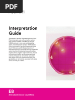 Interpret Guide - AC Plate | PDF