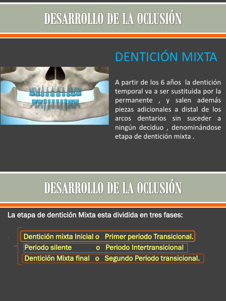 Desarrollo de La Denticion Mixta Enao 2023 | PDF | Odontología | Ramas ...