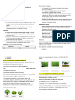 Secuencia Didáctica de Ciencias Naturales.docx