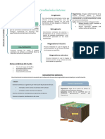 Geodinámica Interna