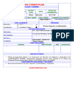 Sintesis Curricular Bracho Rojas