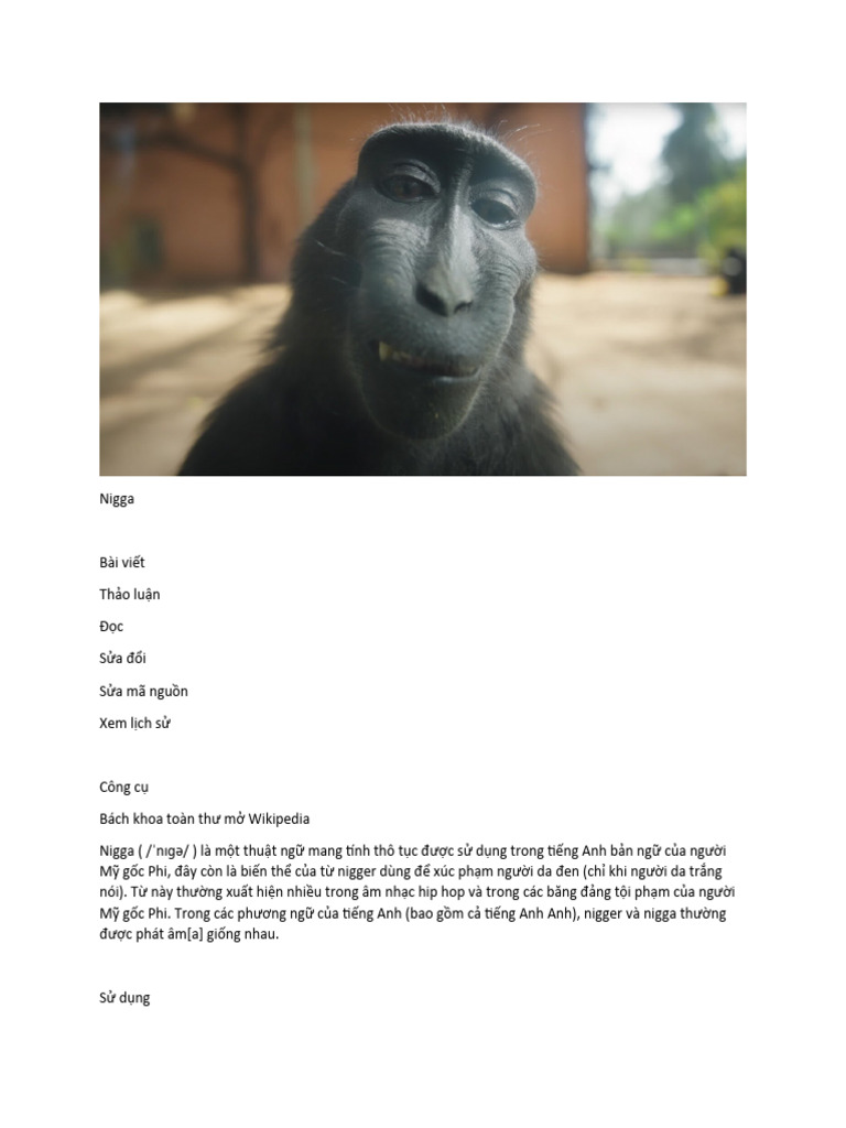 A Research From Yale About African Monkey | PDF
