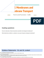 B2.1 Membranes and Membrane Transport (SL - HL)