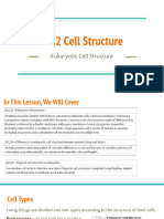 A2.2 Eukaryotic Cell Structure