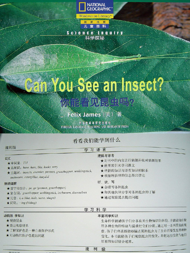 Can You See An Insect | PDF
