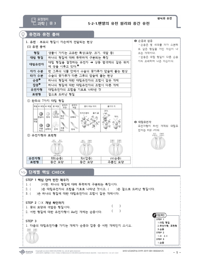  5 2 1 3 pdf