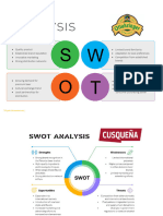 SWOT+Internationalisation Strategy - OTTAKRINGER