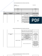 Matriz de Panorama de Riesgos - Completo Nando